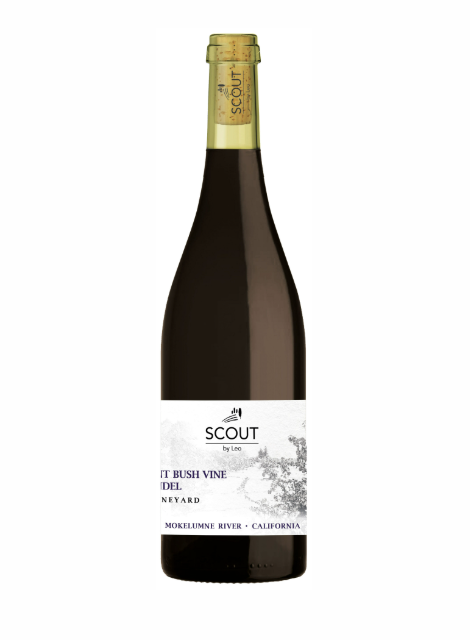 2023 ANCIENT BUSH VINE ZINFANDEL, SCOUT BY LEO | Eksklusivt Sæt på 3 Flasker